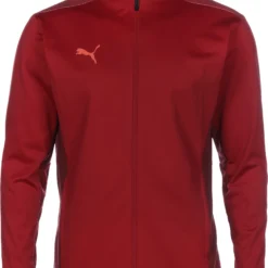 Puma Veste De Survêtement TeamCUP Hommes