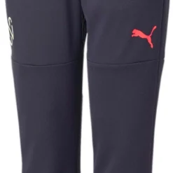 Puma NEYMAR JR 24/7 Trg Pnt Jr