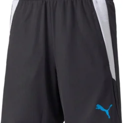 Puma TeamLIGA Short D'entraînement2 Jr