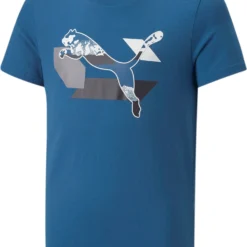 Puma Tee Graphique Alpha