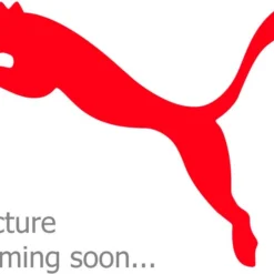 Puma Short D'entraînement ACM