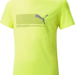 Puma Active Sports Poly Tee