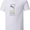 Puma Tee Graphique Alpha
