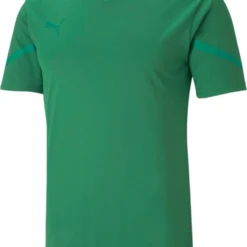 Puma TeamFLASH Jersey-704394
