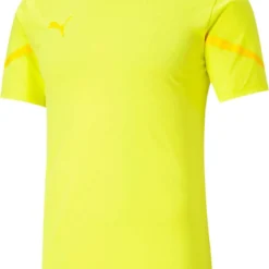 Puma TeamFLASH Jersey